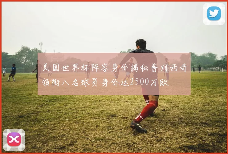 美国世界杯阵容身价揭秘普利西奇领衔八名球员身价达2500万欧